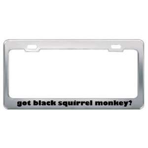Got Black Squirrel Monkey? Animals Pets Metal License Plate Frame 