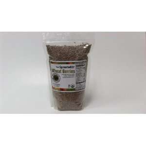5lb. Organic, Sprouted Wheat  Grocery & Gourmet Food