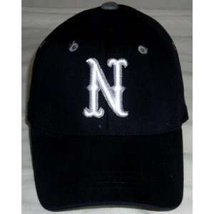  Nevada Reno NCAA Youth 1 Fit Hat