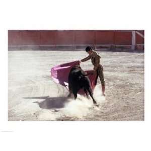  PVT/Superstock SAL2114205 Matador fighting with a bull 
