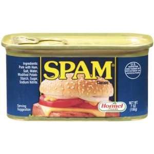 Spam Luncheon Meat (376013) 7 oz Grocery & Gourmet Food