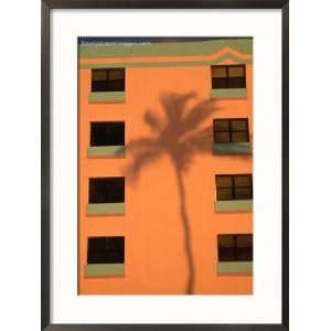 Palm Tree Shadow on Building Facade in the Art Deco District of South 