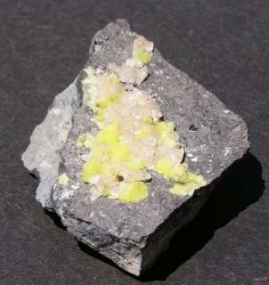 ETTRINGITE W/ CALCITE   EX CHARLIE KEY   S AFRICA 13337  