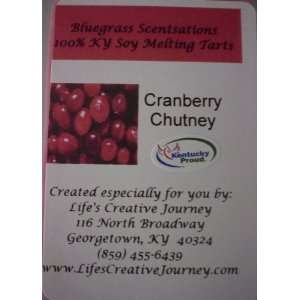   KY Soy Melting Tarts  Cranberry Chutney Yankee Type 