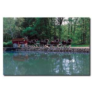 Clydesdales on Green Pond   16x24 Canvas Art Ready to Hang   Game Room 