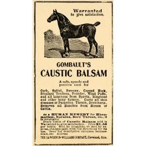   Balsam Cure Lawrence Williams   Original Print Ad
