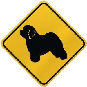  ONLY  OLD ENGLISH SHEEPDOGS  CROSSING SIGN DOG
