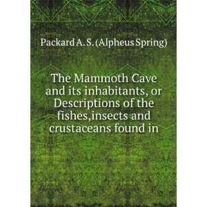   and crustaceans found in Packard A. S. (Alpheus Spring) Books