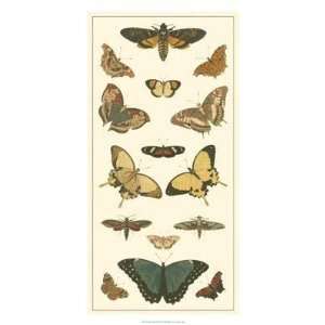  Cramer Butterfly Panel I by Pieter Cramer. Size 14.00 X 28 