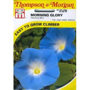  Thompson & Morgan 1708 Morning Glory Heavenly Blue (Ipomoea 