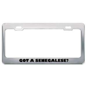 Got A Senegalese? Nationality Country Metal License Plate Frame Holder 