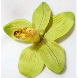  NEW Large Green Cymbidium Orchid Hair Flower Clip, Limited 
