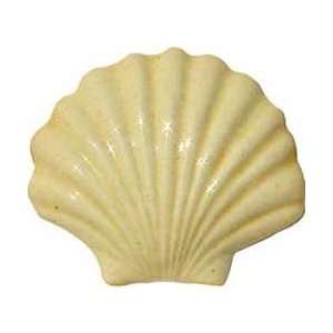  Scallop Shell Applique 