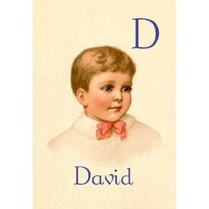  D for David 28x42 Giclee on Canvas