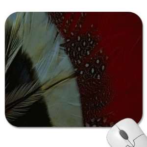   Pads   Texture   Feather/Feathers (MPTX 144)  Home