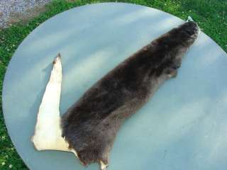 Missouri River Otter pelt garment tanned leather fur  