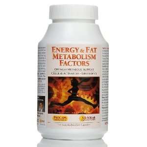  Andrew Lessman Energy Fat Metabolism Factors   360 