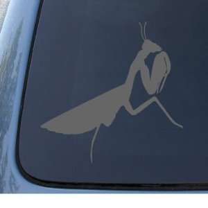  PRAYING MANTIS   Insect Bug   Car, Truck, Notebook, Vinyl 