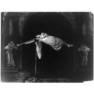   Herrmanns sleeping beauty,Photoprint by Dietz