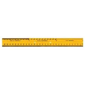 Ruler, Intermediate; one edge shows relationship between dm, cm, mm 