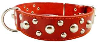 Double Ply Real Leather Dog Collar Studded 1.5 wide Red 19 24  