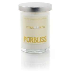  Citrus Herb Bliss Soy Candle   Large Jar 