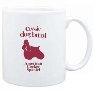   Classic Dog Breed American Cocker Spaniel  Dogs