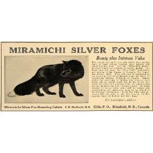  1924 Ad Miramichi Silver Fox Breeding Estate MacDonald 
