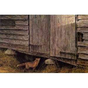 Robert Bateman   Fox at the Granary 