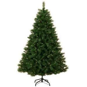   Prelit Tree   6.5 Pre Lit Dunhill Fir LED Tree, 400 Warm White LED