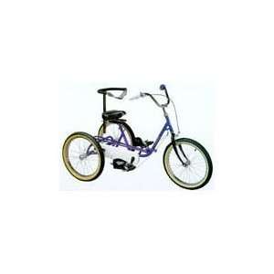  Tricycle TMX Tricycle