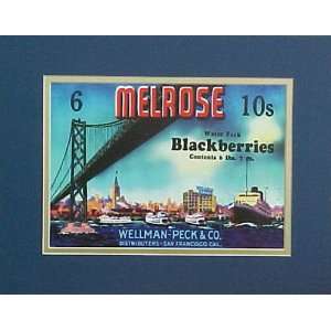  Melrose Blackberries Reproduction Crate Label Picture 