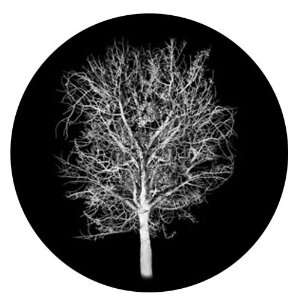  Moonlit Tree   Super Resolution Gobo