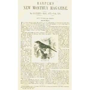  1877 Birds Mocking Bird Kingfisher Wren Cardinal 