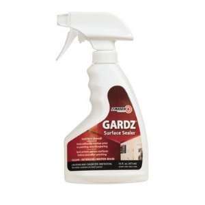  GARDZ Problem Surface High Performance Sealer 16 oz. Spray 
