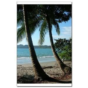   Palm Trees Beach Mini Poster Print by  Patio, Lawn & Garden