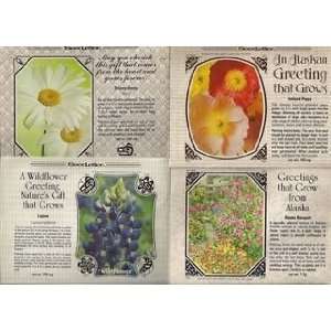  Seed Postcards from Alaska Patio, Lawn & Garden