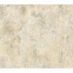  Khaki Frescoed Plaster Wallpaper SK6473 