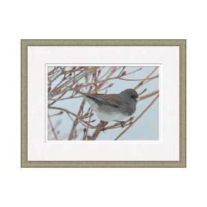   In Winter Howard County Maryland Framed Giclee Print