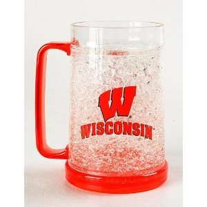   NCAA Crystal Pilsner Mug   University of Wisconsin