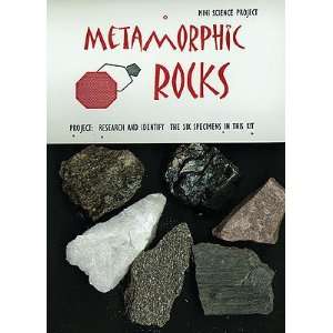 SciEd Metamorphic Rock Bag; 6 Sp.  Industrial & Scientific