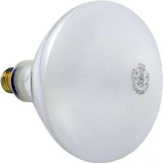  Replacement Pool Light Bulb   300W/12V
