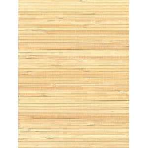  Wallpaper Astek Bamboo And Grass ASt1879