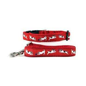 Jack Russell Terrier Collar & Leash 
