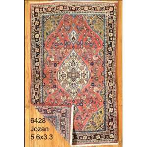 3x5 Hand Knotted Jozan Persian Rug   33x56 