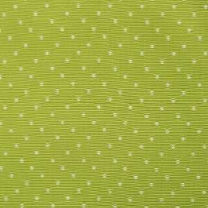  2409 Springcreek in Lime by Pindler Fabric