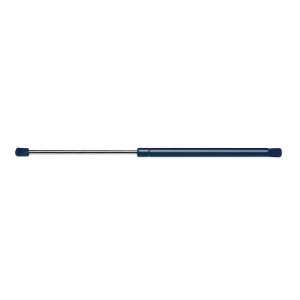   4596 Mazda Tribute, Liftgate Lift Support, Pack of 1 Automotive