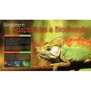  Adaptations & Biodiversity   Poster (32x18)