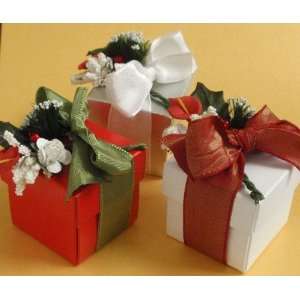  Winter Bouquet Favor Box with Filling (5 Choices) Health 