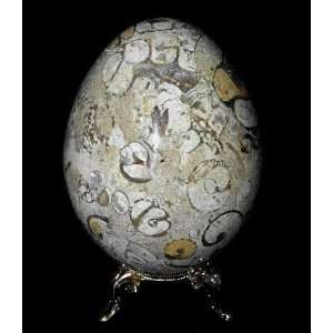  Natural Coral Stone Egg, Fossil Marble Eggs   4H